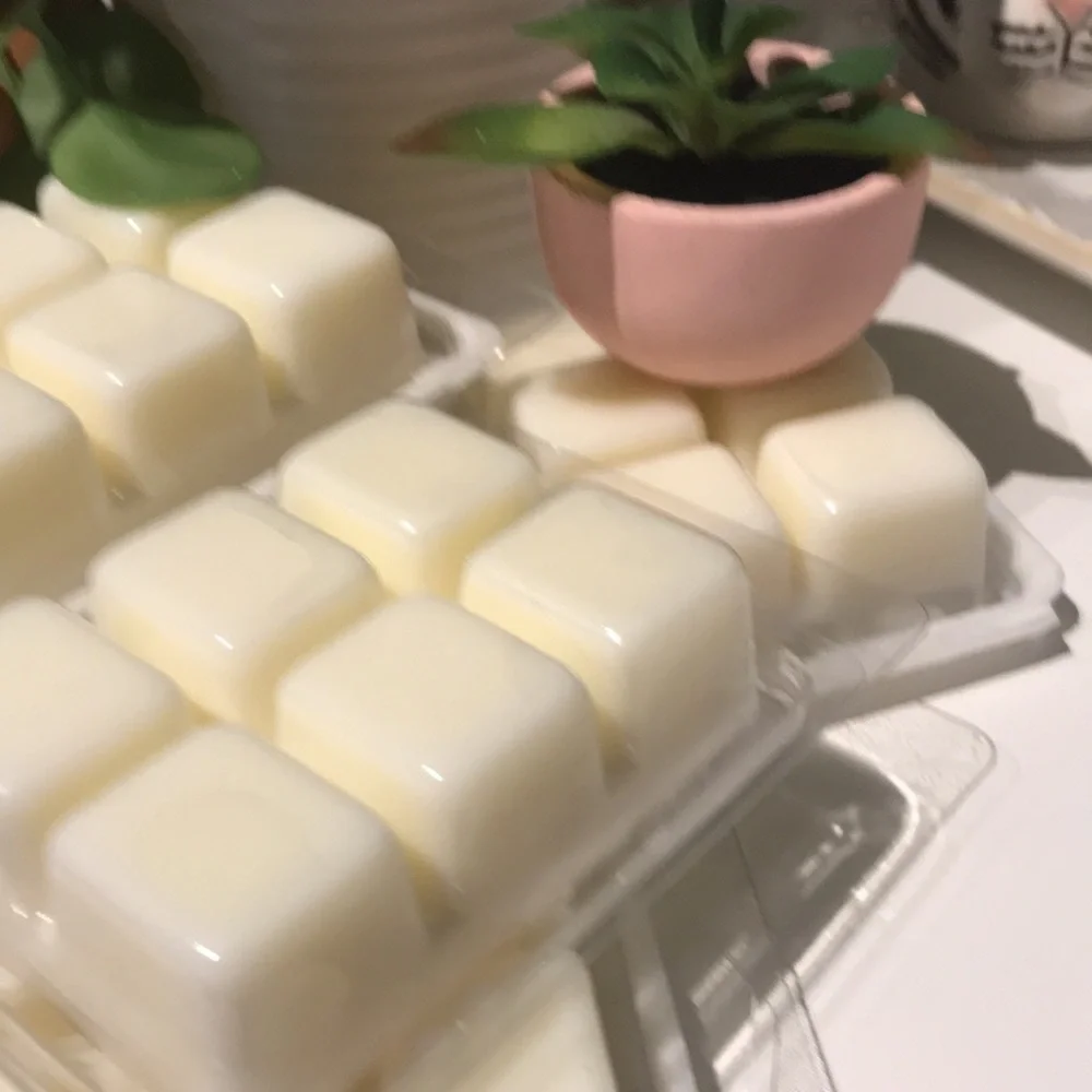Scents Wax Melts Beach Sand Vibe Salted Seas Hand Crafted Final Sale